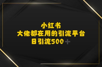 小红书，大佬都在用的大粉平台，日引流500 