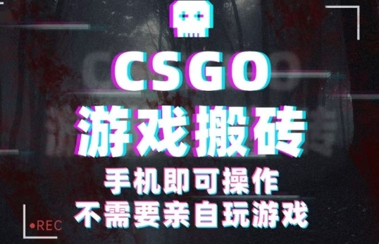 CSGO游戏挂G捡漏，单日扫货5张 ，年底小高峰上车可吃肉，手机即可操作，兼职副业创业网创【揭秘】
