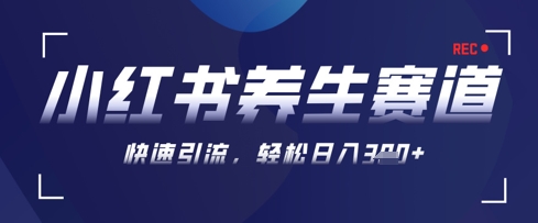 AI 可画生成小红书养生作品,新手暴力起号,矩阵操作,轻松日入3张