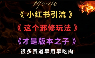 最近小红书引流这个邪修玩法才是版本之子，很多赛道早用早吃肉