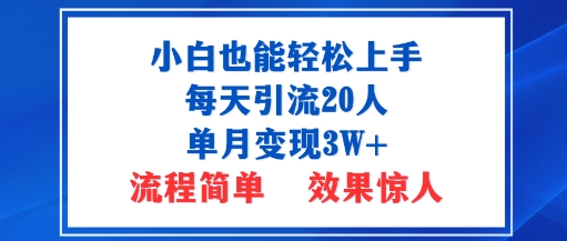 小白也能轻松上手的宝妈项目,每天引流20人,单月变现3W ,流程简单,效果惊人