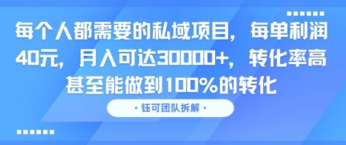 每个人都需要的私域项目,每单利润40米,月入可达3W ,转化率高 甚至能做到100%的转化