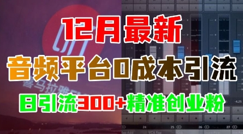 12月最新：音频平台0成本引流，日引流300 精准创业粉
