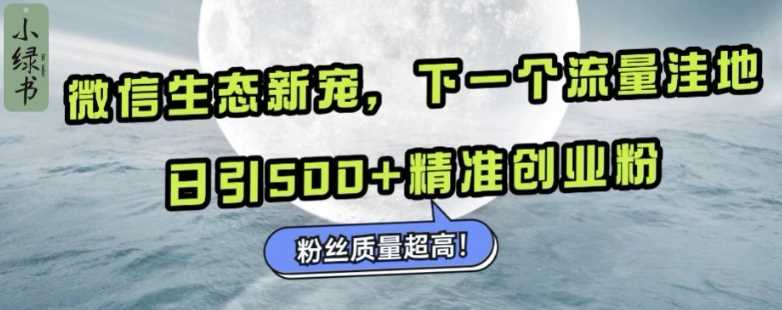 微信生态新宠小绿书：下一个流量洼地，日引500 精准创业粉，粉丝质量超高