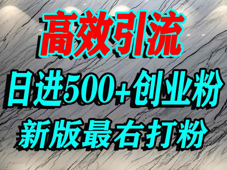 最右打创业粉,百分之九十九同行都不知道的空白蓝海,单人日引500 精准流量