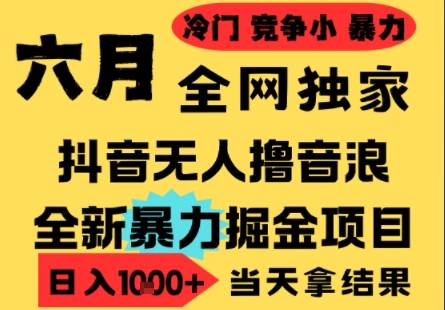 25年6月高爆抖音无人直播最新撸音浪掘金项目，小白可做，无脑日入1k ，门槛低可批量矩阵【揭秘】