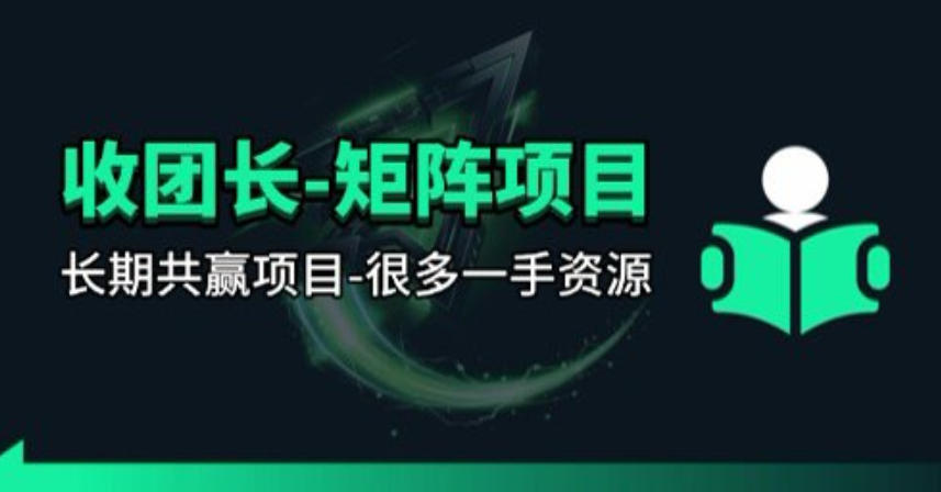 【团长合作】视频矩阵项目_招发手矩阵 剪辑师，共赢项目【揭秘】