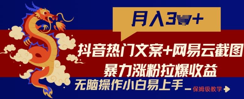 抖音热门文案 网易云截图暴力涨粉拉爆收益玩法，小白无脑操作，简单易上手【揭秘】