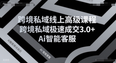 跨境私域线上高级课程，跨境私域极速成交3.0 Ai智能客服