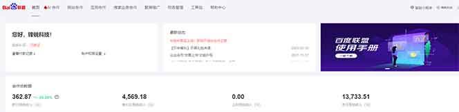 （13842期）全新广告联盟最新玩法 全自动脚本运行单机300  项目稳定新手小白可做