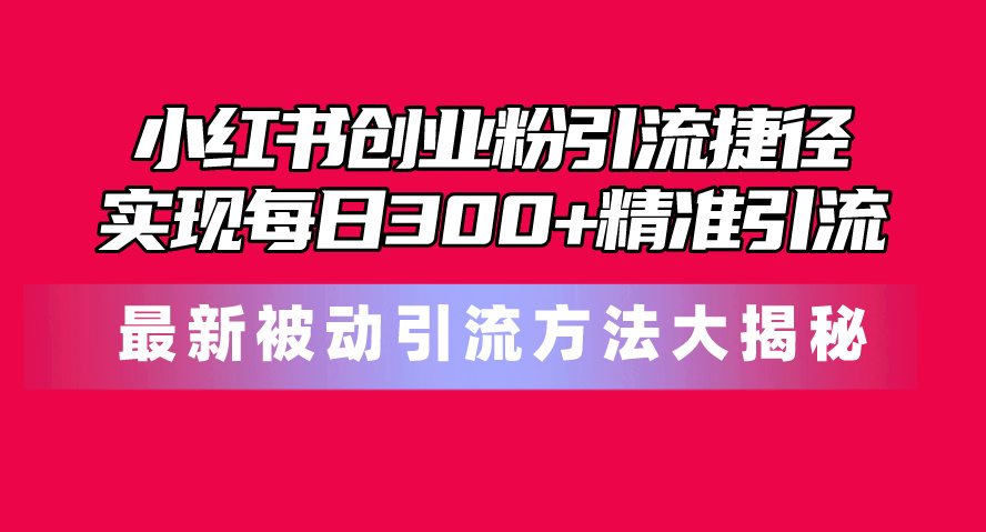 （10692期）小红书创业粉引流捷径！最新被动引流方法大揭秘，实现每日300 精准引流