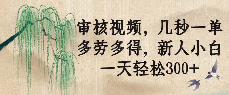 （14203期）审核视频，几秒一单，多劳多得，新人小白一天轻松300 