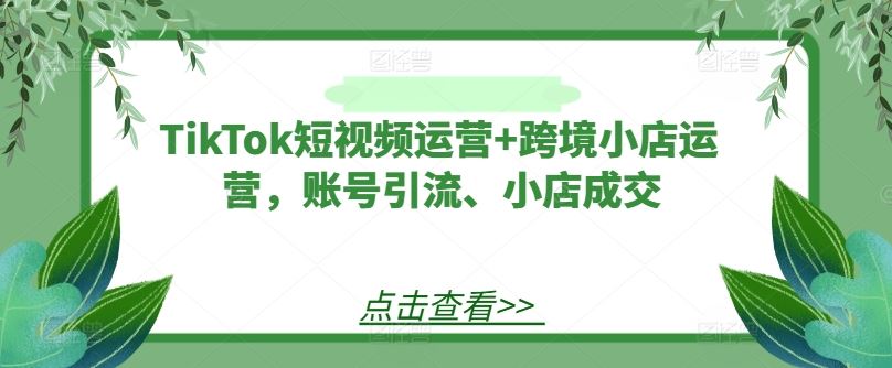 TikTok短视频运营 跨境小店运营，账号引流、小店成交