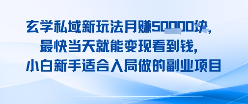 玄学私域新玩法月入1W ,最快当天就能变现看到米,小白新手适合入局做的副业项目