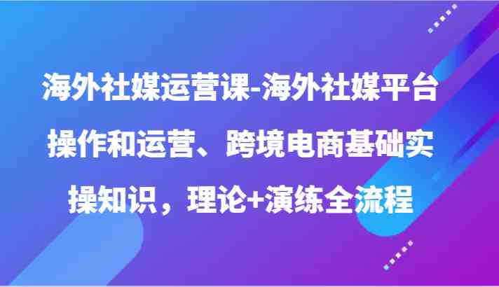 海外社媒运营课-海外社媒平台操作和运营、跨境电商基础实操知识，理论 演练全流程