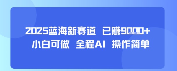 2025蓝海新赛道 已挣9k  小白可做 全程AI 操作简单