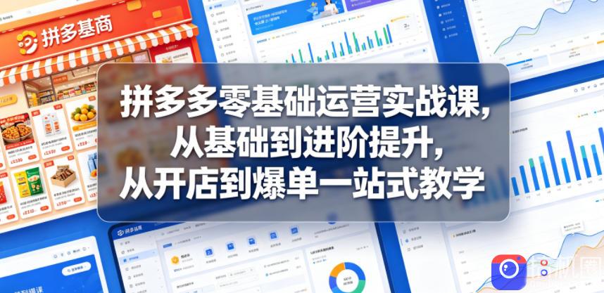 拼多多零基础运营实战课，从基础到进阶提升，从开店到爆单一站式教学