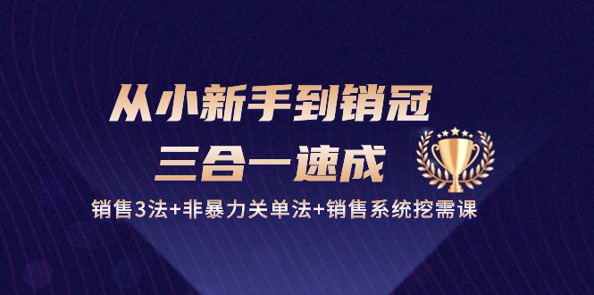 （10799期）从小新手到销冠 三合一速成：销售3法 非暴力关单法 销售系统挖需课 (27节)