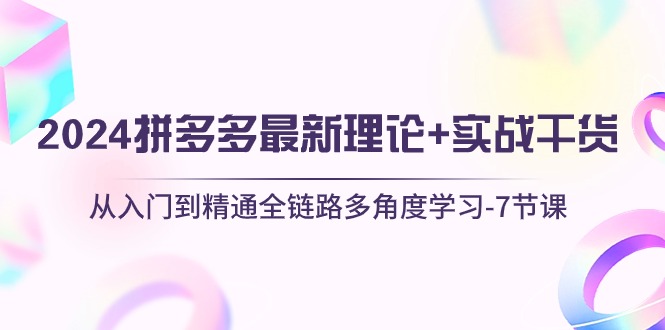 （10816期）2024拼多多 最新理论 实战干货，从入门到精通全链路多角度学习-7节课
