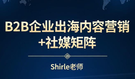 shirle老师·B2B企业出海内容营销 社媒矩阵