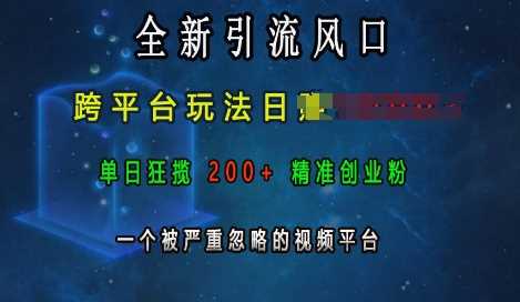 全新引流风口，跨平台玩法日入上k，单日狂揽200 精准创业粉，一个被严重忽略的视频平台