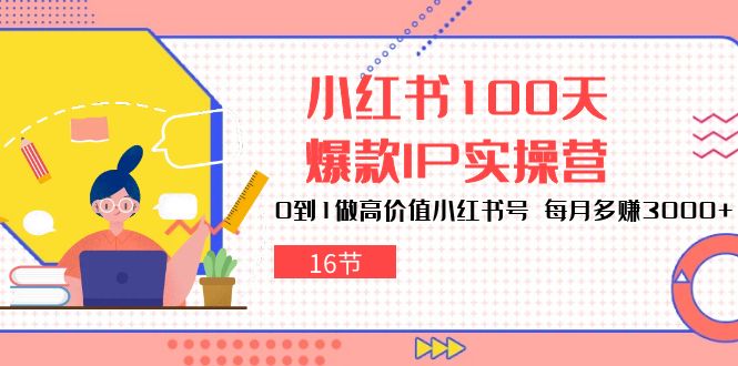 小红书100天爆款IP实操营，0到1做高价值小红书号，每月多赚3000 （16节）