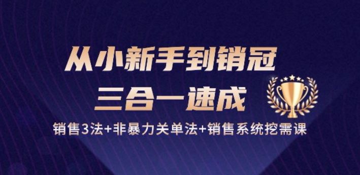 从小新手到销冠 三合一速成：销售3法 非暴力关单法 销售系统挖需课 (27节)