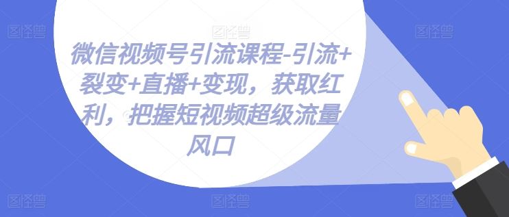微信视频号引流课程-引流 裂变 直播 变现，获取红利，把握短视频超级流量风口