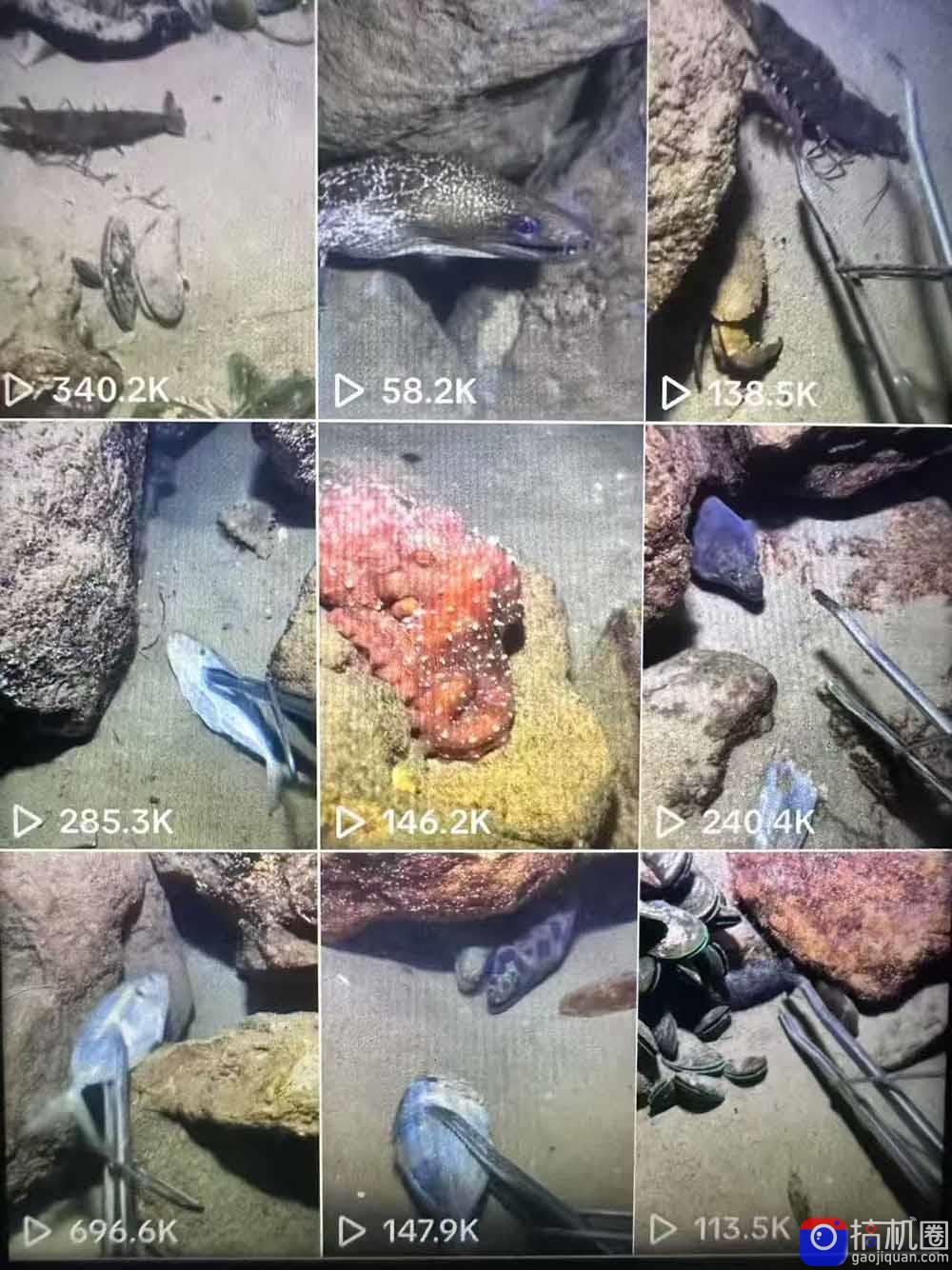 Tiktok中视频解说教程，体育 温情文案双赛道实操教程一站式带你落地