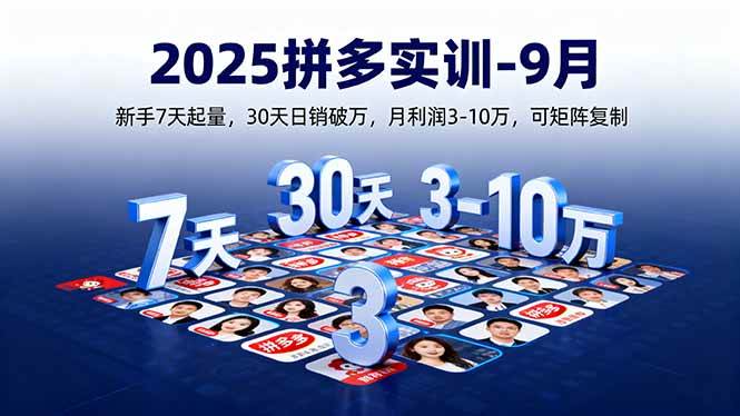 (16008期)2025拼多多实训-9月:新手7天起量,30天日销破万,月利润3-10万,可矩阵复制