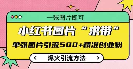 小红书图片‘求带’爆火引流法，单张图片引流500 精准创业粉【揭秘】