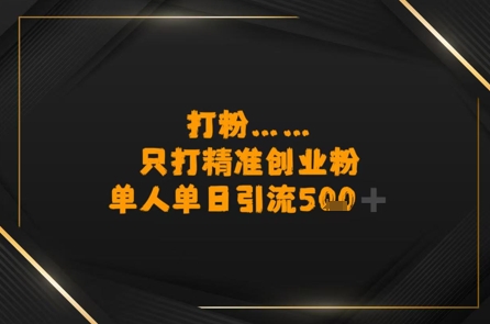 打粉只打精准创业粉，单人单日引流500 