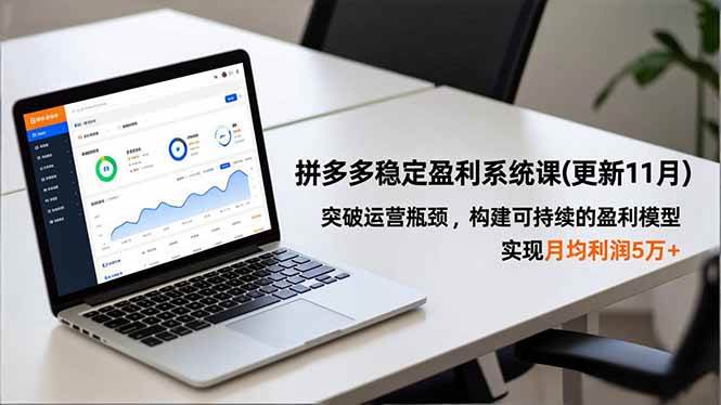 （16641期）拼多多稳定盈利系统课(更新11月)，突破运营瓶颈，构建可持续的盈利模型，实现月均利润5万 