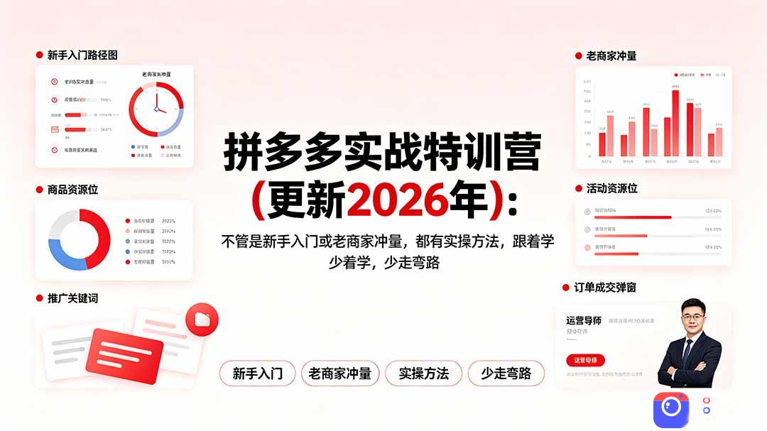 拼多多实战特训营(更新2026年