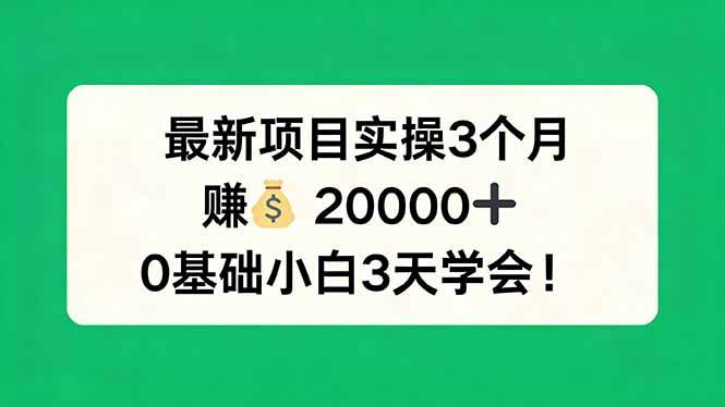 （17856期）最新项目实操3个月，赚钱20000 ，0基础小白3天学会！