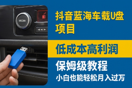 抖音蓝海车载U盘项目,低成本高利润保姆级教程,小白也能轻松月入过W