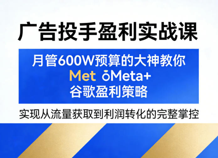 广告投手盈利实战课，月管600W预算的大神教你Meta 谷歌盈利策略，实现从流量获取到利润转化的完整掌控