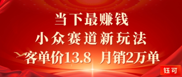 当下最挣钱的小众赛道 小红书新玩法10个作品涨粉3W，客单价13.8 月销2W单