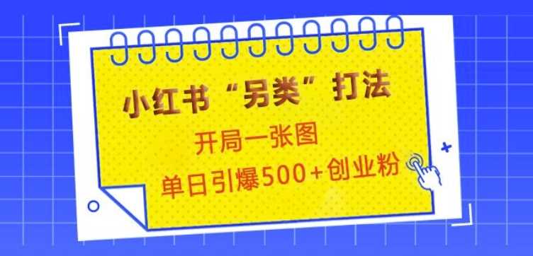 小红书“另类”打法，开局一张图，单日引爆500 精准创业粉【揭秘】