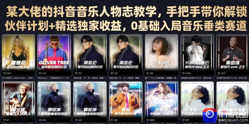 某大佬的抖音音乐人物志教学,手把手带你解锁伙伴计划 精选独家收益,0基础入局音乐垂类赛道