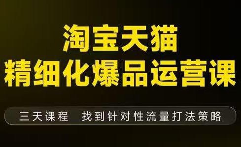 猫课子幽·淘宝天猫精细化爆品运营【音频 字幕 文档】(9月12-14杭州线下课)
