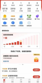 （12035期）拼多多虚拟电商，单人操作10家店，单店日盈利100 