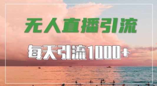 抖音快手视频号全平台通用，无人直播引流法，超暴力引流1000 高质量精准创业粉【揭秘】