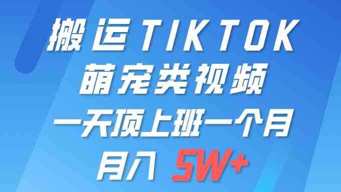 （9931期）一键搬运TIKTOK萌宠类视频 一部手机即可操作 所有平台均可发布 轻松月入5W 