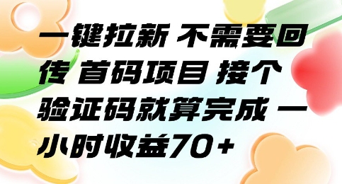 一键拉新 不需要回传 首码项目 接个验证码就算完成 一小时收益70 【揭秘】