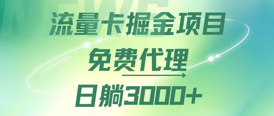 （12321期）流量卡掘金代理，日躺赚3000 ，变现暴力，多种推广途径