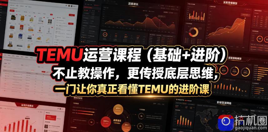 TEMU运营课程(基础 进阶)，不止教操作，更传授底层思维，一门让你真正看懂TEMU的进阶课
