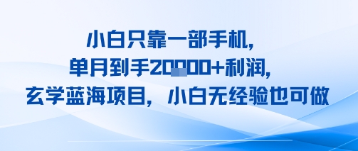 小白只靠一部手机,单月到手2W 利润,玄学蓝海项目,小白无经验也可做