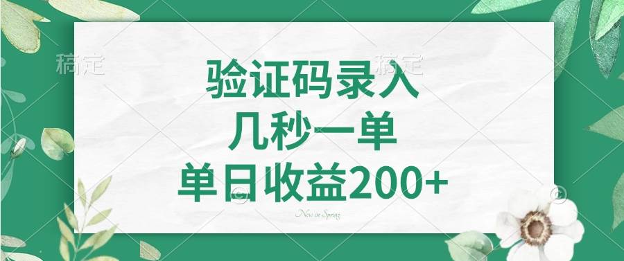 （14221期）验证码录入，几秒一单，单日收益200 