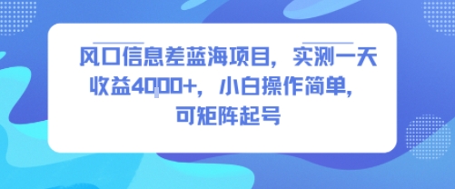 风口信息差蓝海项目，实测一天收益4k ，小白操作简单，可矩阵起号